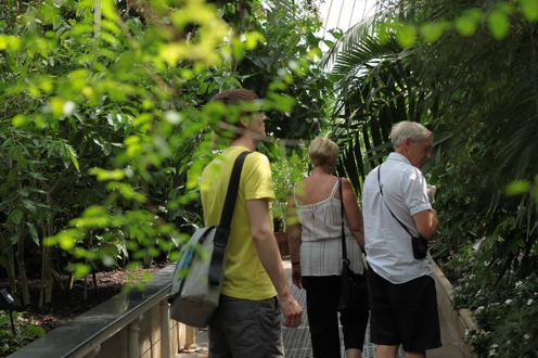 Durch die Blume in den Royal Botanic Gardens (Kew)