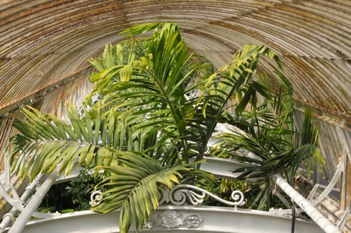 Over the top in den Royal Botanic Gardens (Kew)
