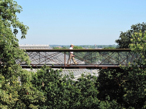 Noch over the topper, auch in den Royal Botanic Gardens (Kew)