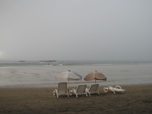 Tamarindo