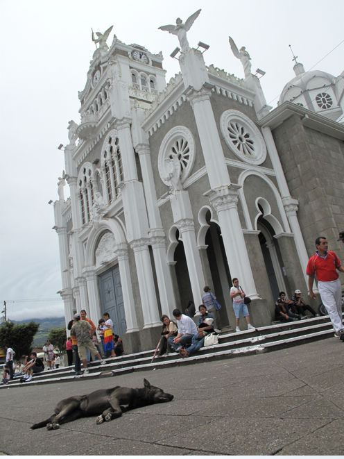 In Cartago liegt im Moment der Hund begraben In Cartago liegt im Moment der Hund begraben