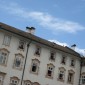Der Frosch im Toscanini-Hof Der Frosch im Toscanini-Hof